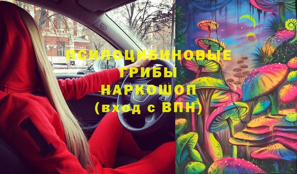 герыч Пересвет